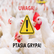 Plakat UWAGA PTASIA GRYPA